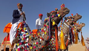 Rajasthan Desert Festival