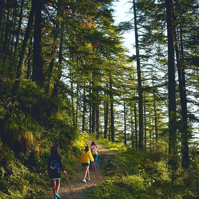 Trek through the mountains on the Wild Strawberry Trail