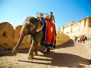 Elephant ride to Amber Fort Jaipur