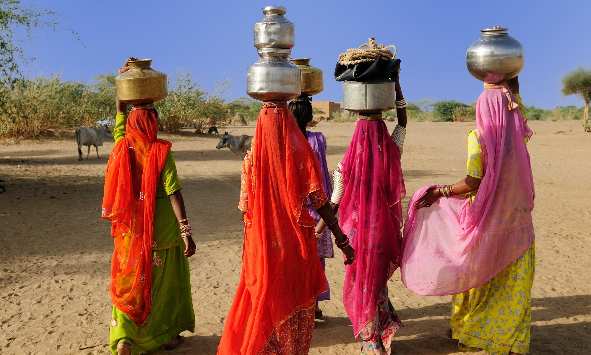 Thar desert near Jaisamler. Ethnic women going for the water in well on the desert. Rajasthan, India